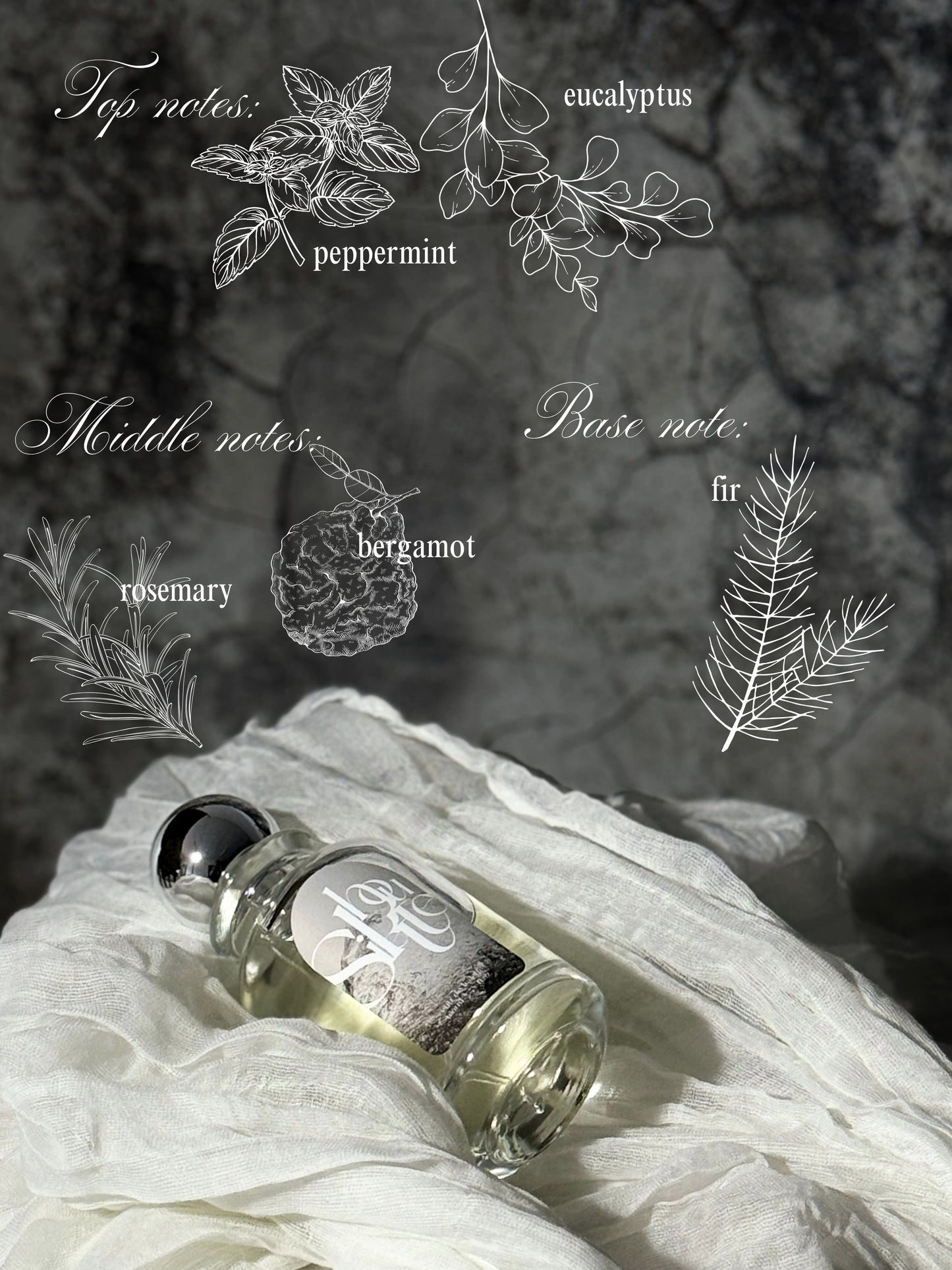 Silhouette Eau de Toilette